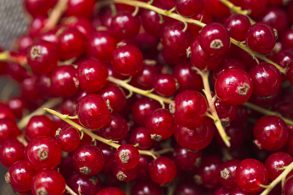 9 gyümölcs, amit cukorbetegek is ehetnek